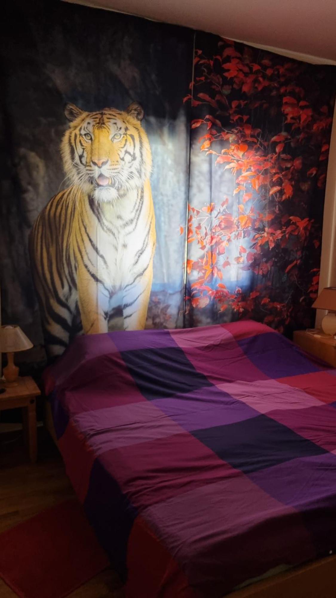 #pissouri #писсури 1+1bed Pissoúri