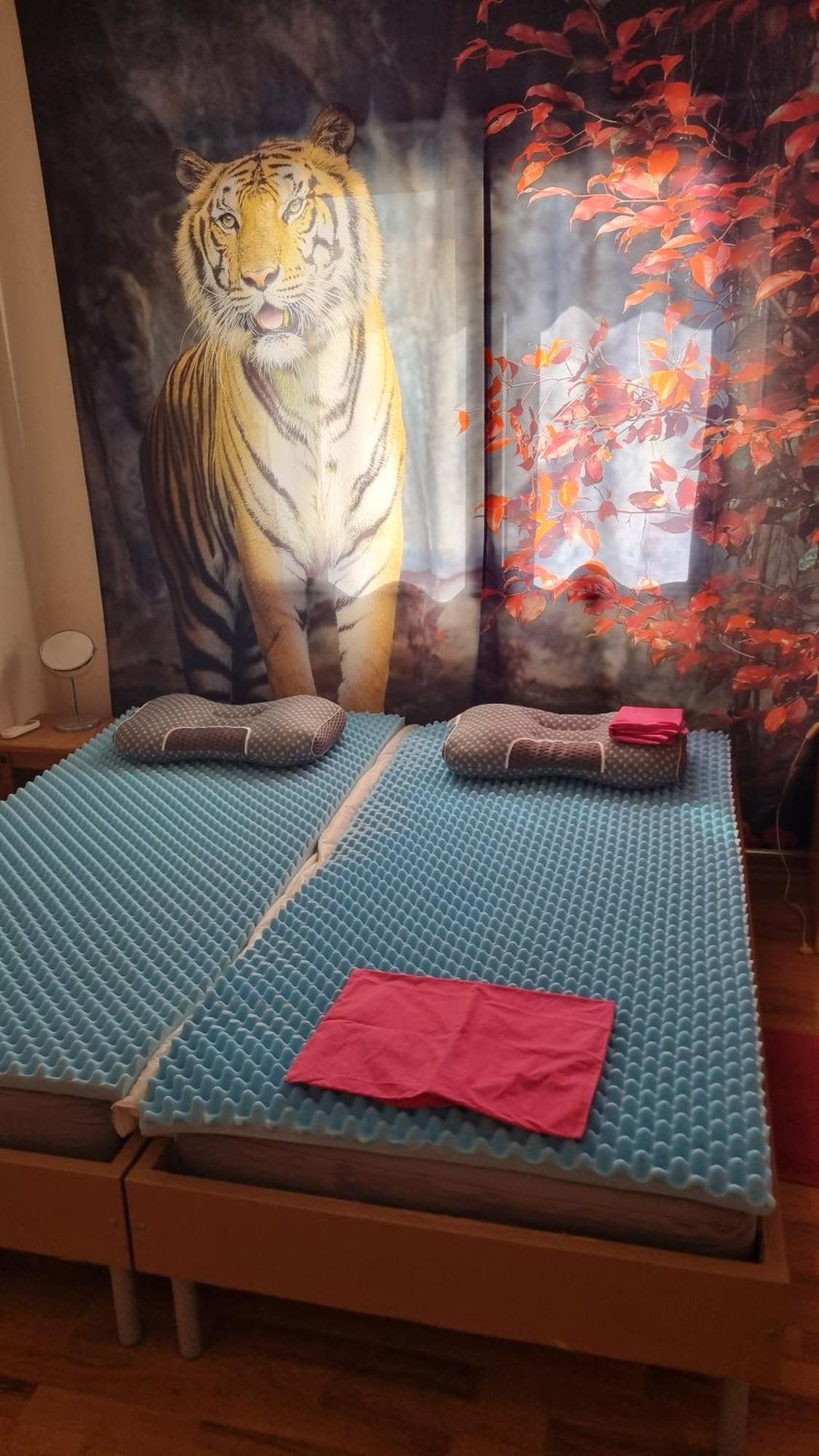 #pissouri #писсури 1+1bed * Pissoúri